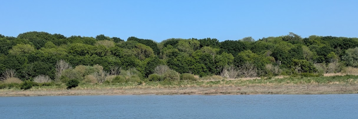 Riverside Counselling Colchester Online and Face to Face Counselling